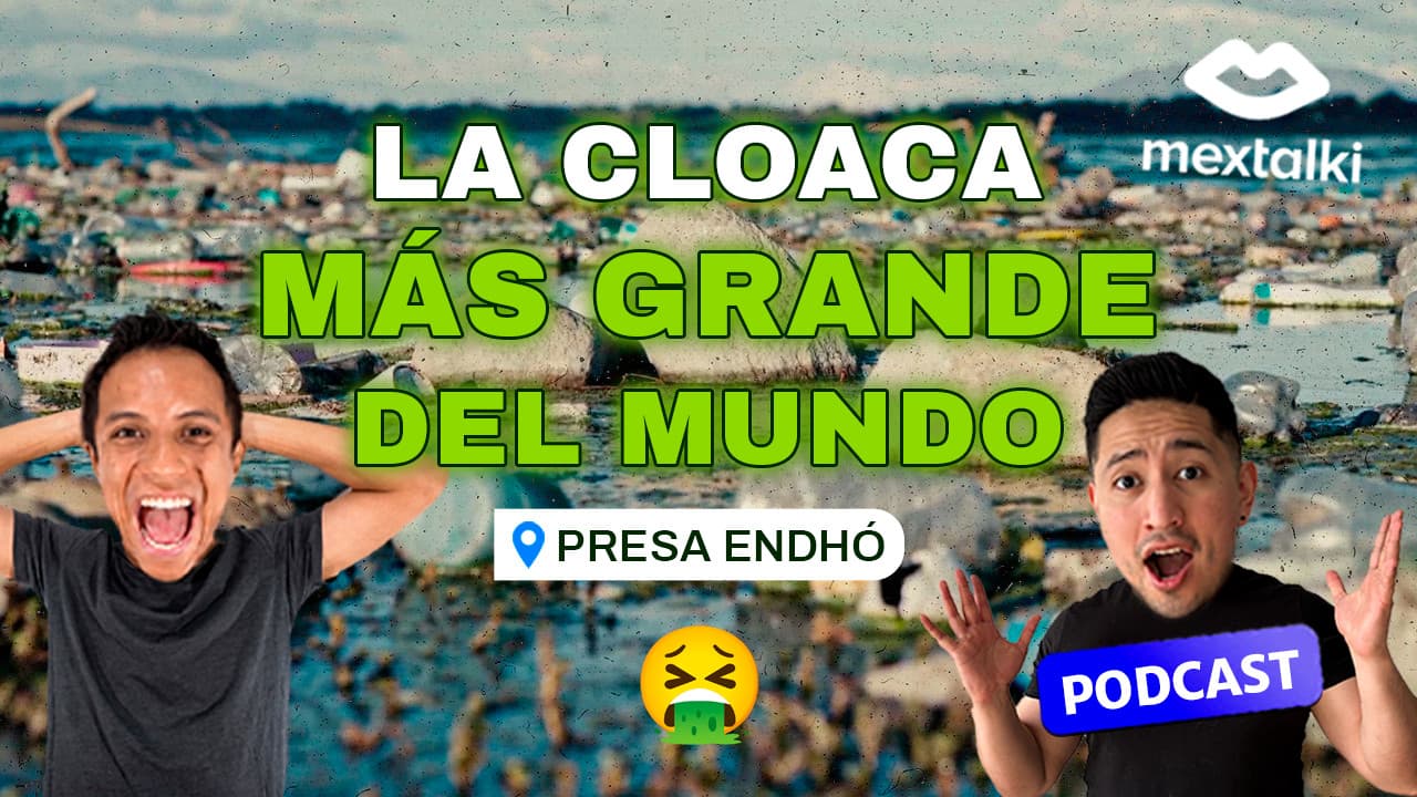 PODCAST "cheleando con Mextalki": #187 - El problema de los MOSQUITOS en Hidalgo