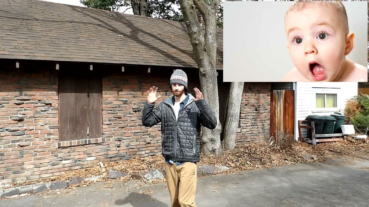 A2 English #8 - I Saw a Snake! (Comprehensible Input)