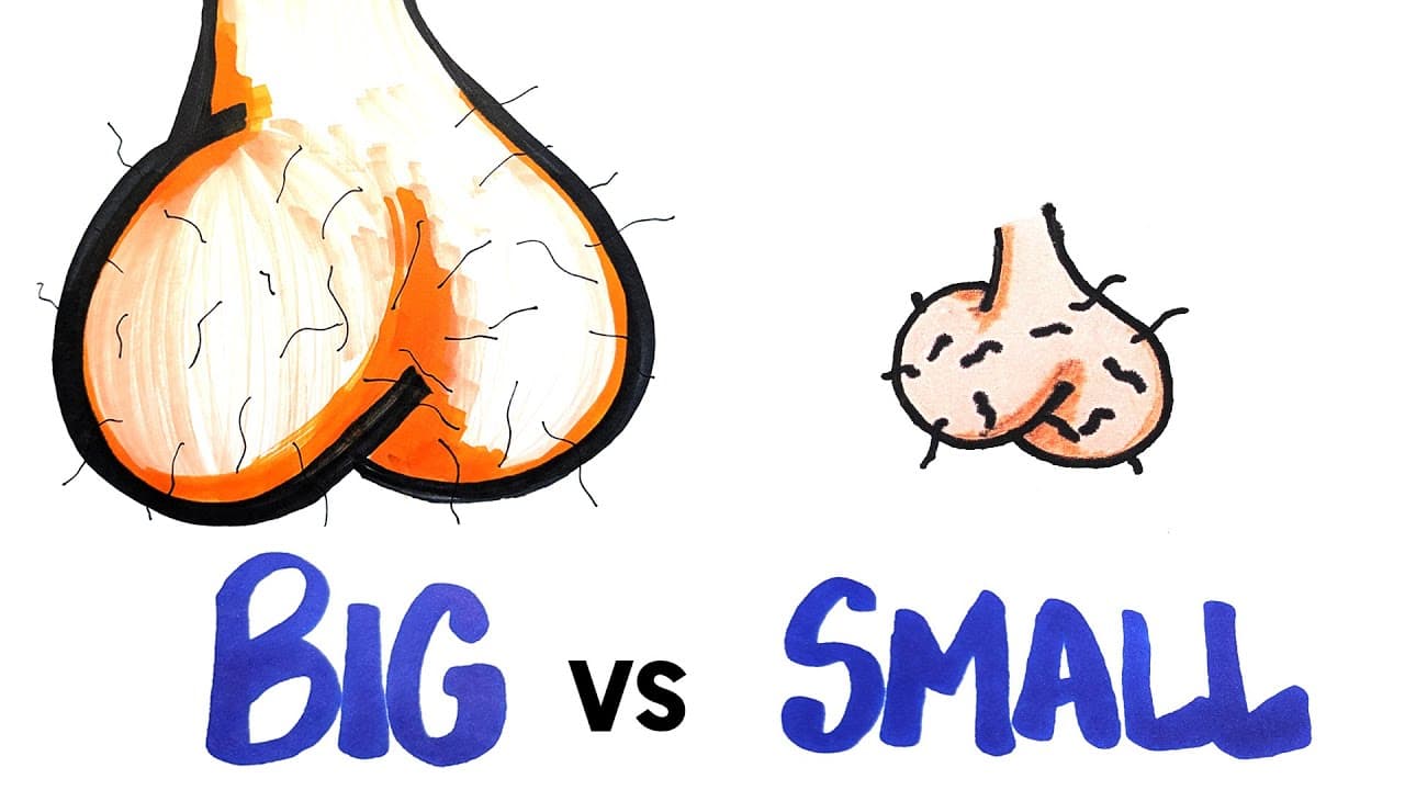 What your ball size says about you