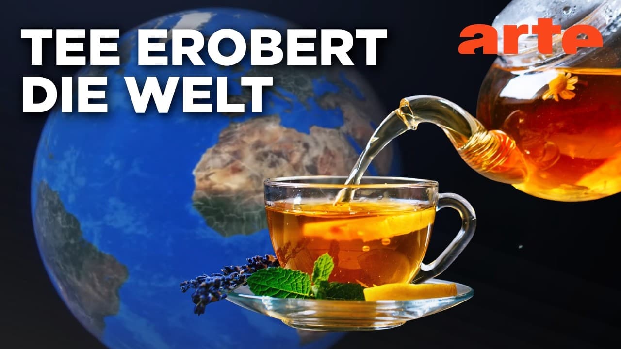 Tee, ein Getränk im Trend | Mit offenen Karten | ARTE