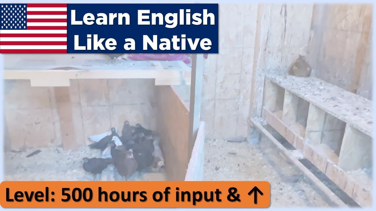 The chicks are older! (Learn English Like a Native - Level: 500 hours & ↑)