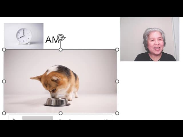 Food - Watch and React Japanese Basics14 (Absolute Beginner) Comprehensible input