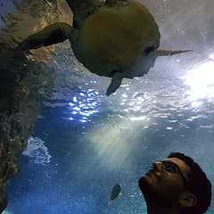 profile picture for Kevin Abroad