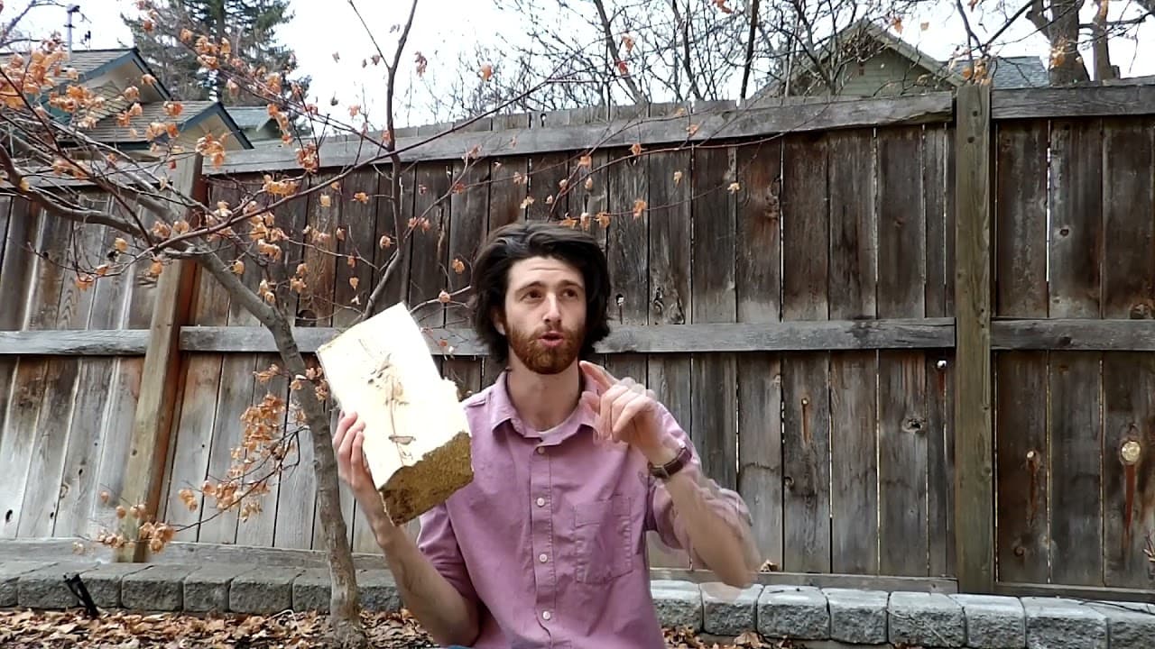 A2 English #3 - I Went Camping (Comprehensible Input)