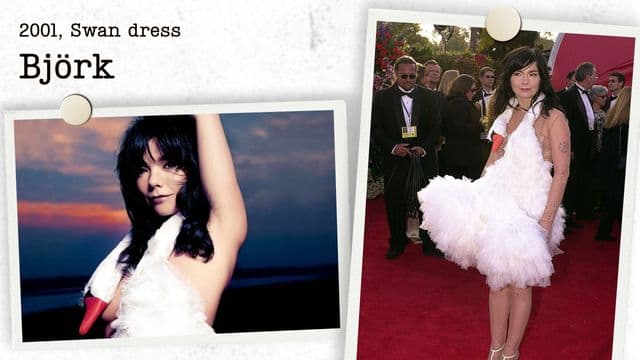 The Story Behind the Swan Dress