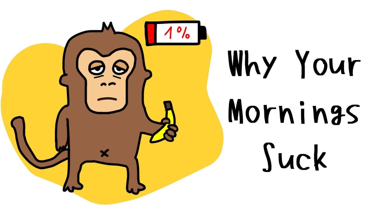 Monkey’s Morning Routine That Makes Every Day Easy (The Secret to All-Day Energy)