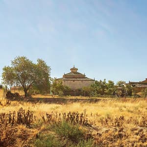 Capítulo 72 - VALLADOLID - Viñedos, libros, "fiestas" polémicas y... ¡el único pueblo con W de España! 📚🍷 - Descubriendo España 8