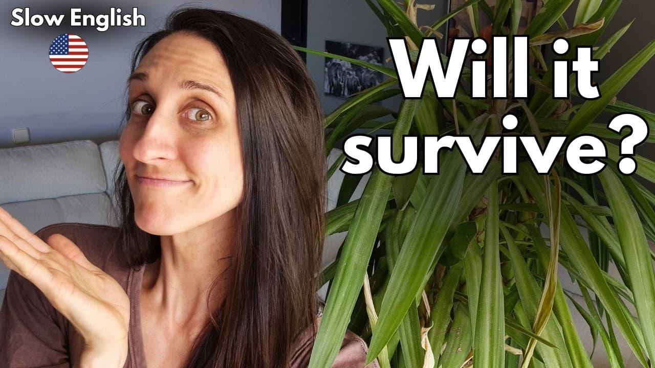 Slow English - Is my YouTube plant dying? (A2+)