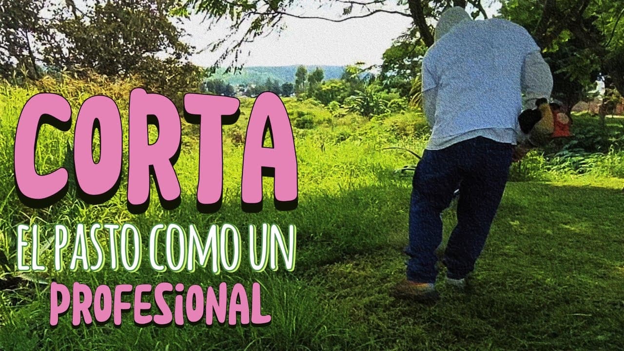 COMO CORTAR PASTO o ZACATE con desbrozadora como un jardinero profesional 
