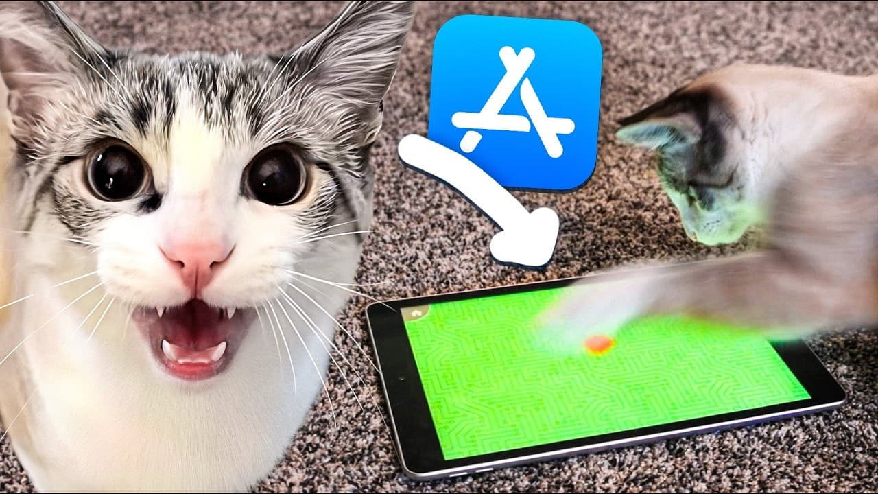 My Cat Tried Every Cat Mobile Game on the App Store