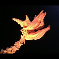 profile picture for Yokaiju