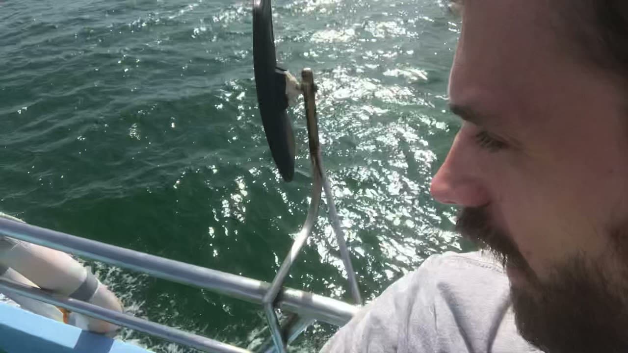 I’m on a boat!   EASY English lesson