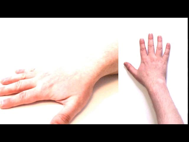 Learn English with Actions! Easy English Lesson with Hand and Table | Total Physical Response (TPR)