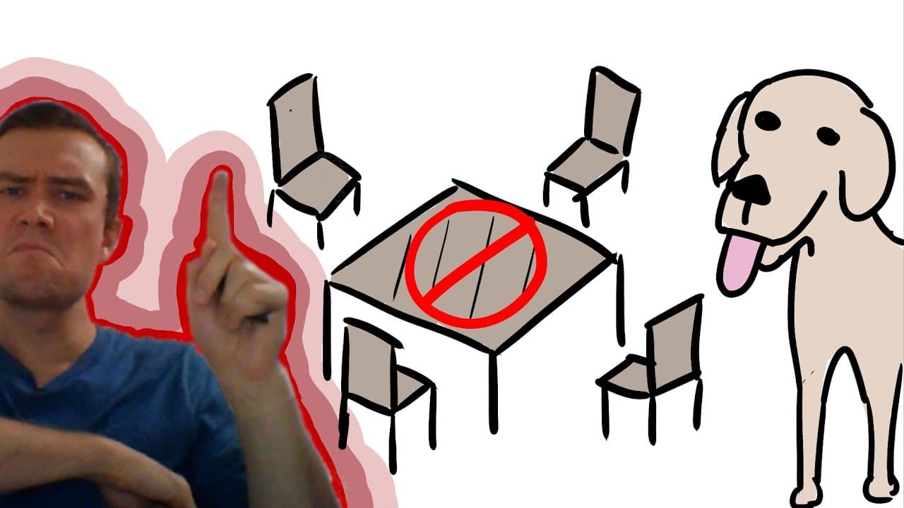 Fluffy the dog - Complete Beginner #64 - English Comprehensible Input