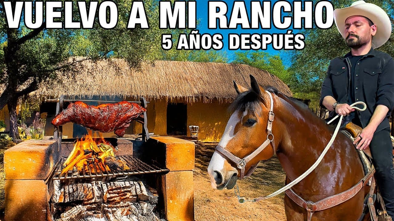 Vuelvo a mi ciudad natal después de 5 años | Mi nuevo Proyecto | La Capital