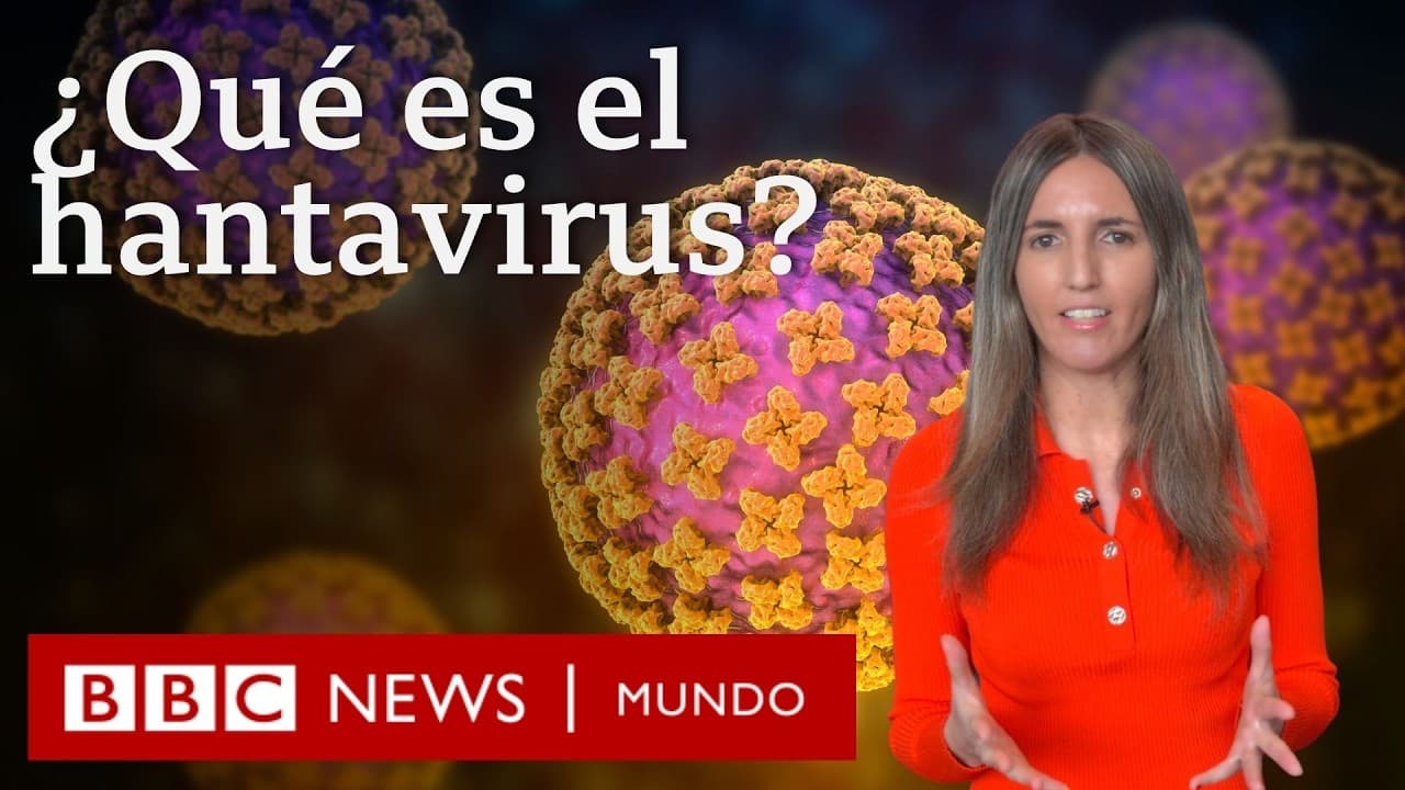 Qué es el hantavirus y cuáles son los síntomas del virus que causó 3 muertes en un crucero