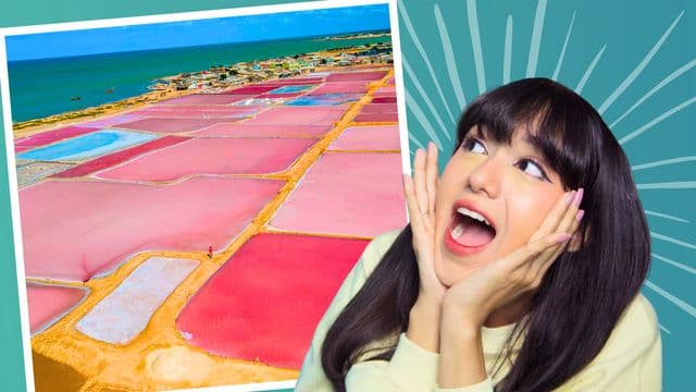 Salinas de Manaure: Colombia's Majestic Salt Flats