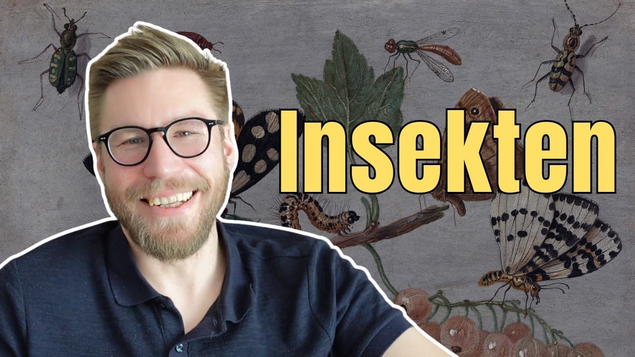 Wie nennt man diese Insekten auf Deutsch?