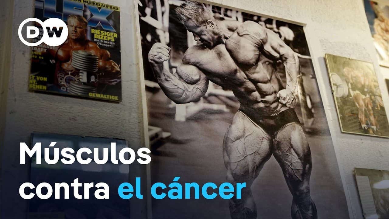 Músculos - más que fuerza y bombeo | DW Documental