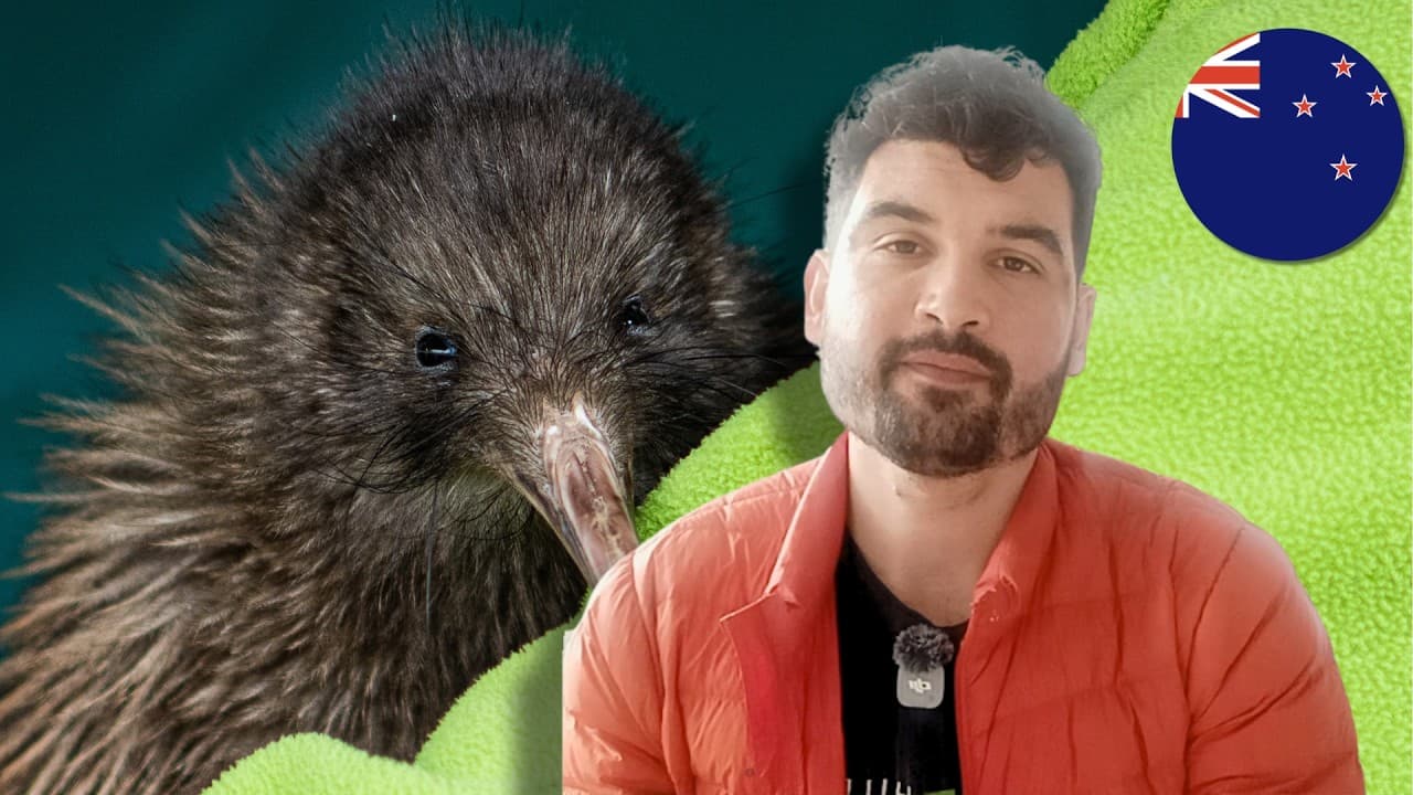 What Is A Kiwi Bird?