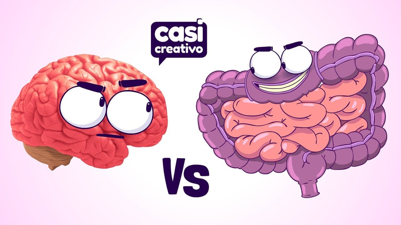 Intestino VS Cerebro | Casi Creativo