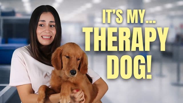 Ma’am, That’s Not Allowed!