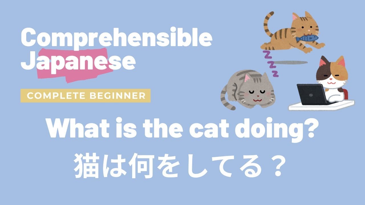 What is the cat doing? 猫は何をしてる？ - Complete Beginner Japanese 日本語超初心者