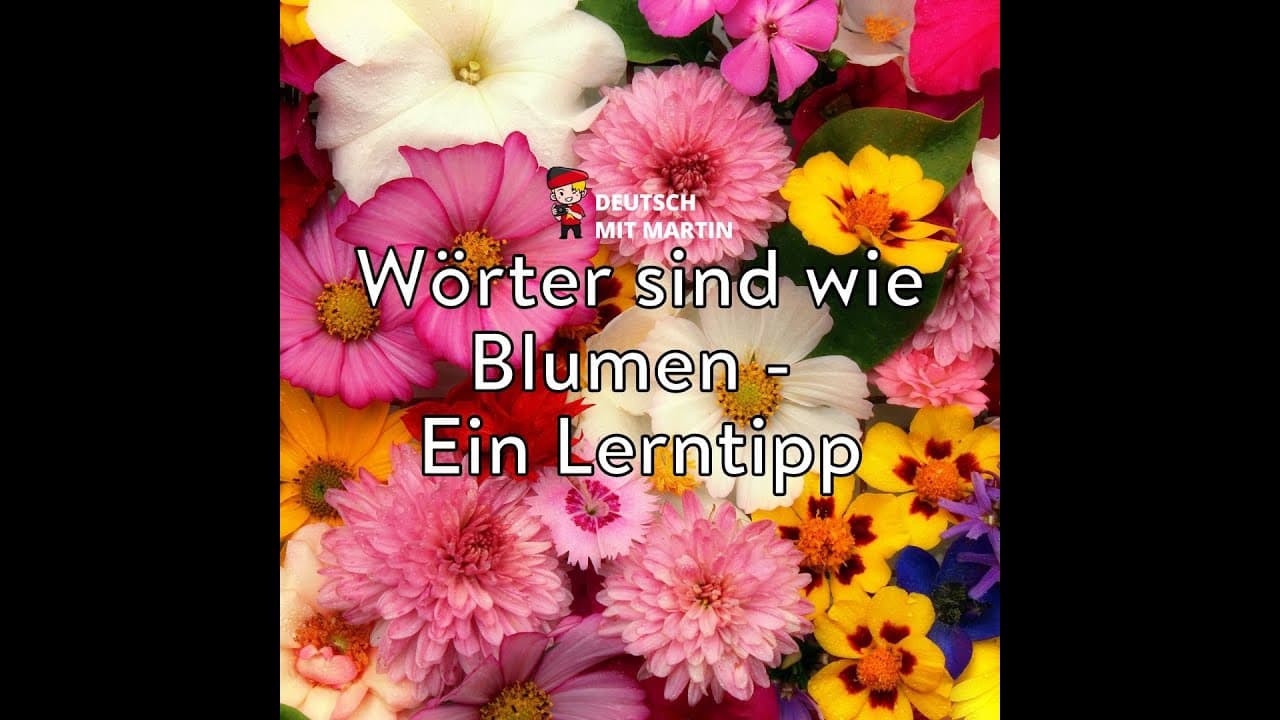 𝐄𝐢𝐧 𝐋𝐞𝐫𝐧𝐭𝐢𝐩𝐩: 𝐖ö𝐫𝐭𝐞𝐫 𝐬𝐢𝐧𝐝 𝐰𝐢𝐞 𝐁𝐥𝐮𝐦𝐞𝐧 💐
