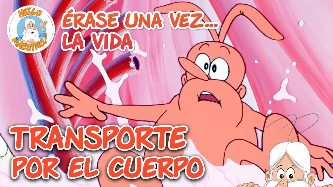El sistema de transporte | Recopilación de Episodios | Erase Una Vez... La Vida