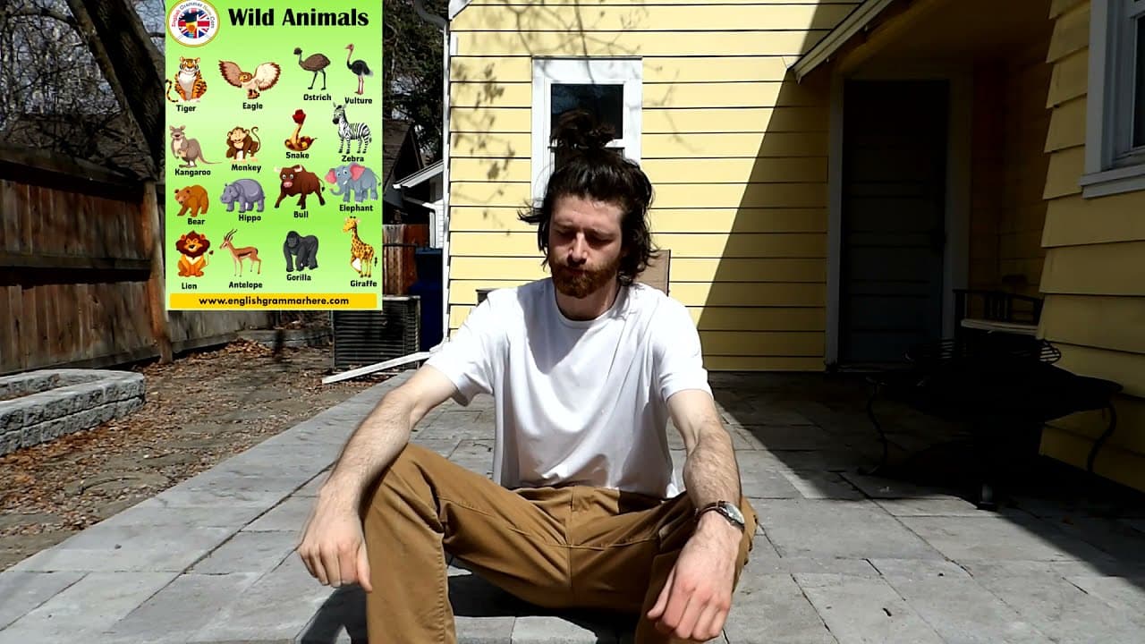 A2 English #9 - A Very Smart Bird (Comprehensible Input)