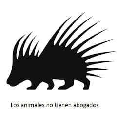 profile picture for Frank Cuesta - En Directo