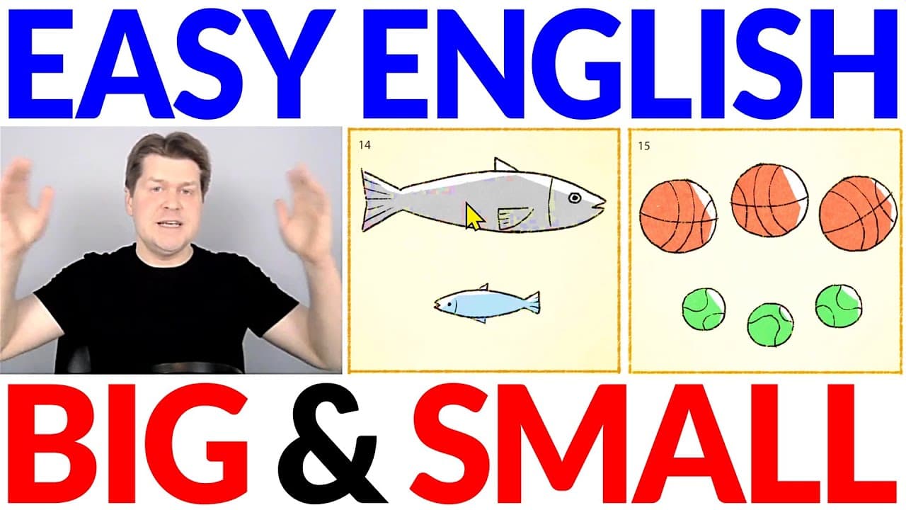 Big and Small 🐟🏀🎾 Learn English Basic Vocabulary | Simple Easy Beginner English Comprehensible Input