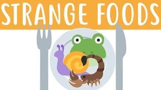 Strange Food I've Eaten