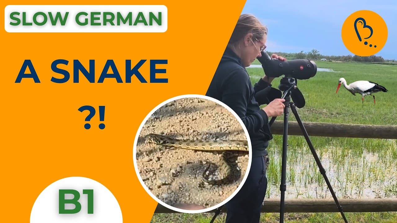Birdwatching in the Wetlands - Special Finds 🔭 | Easy Vlogs #30 | German Comprehensible Input [B1]
