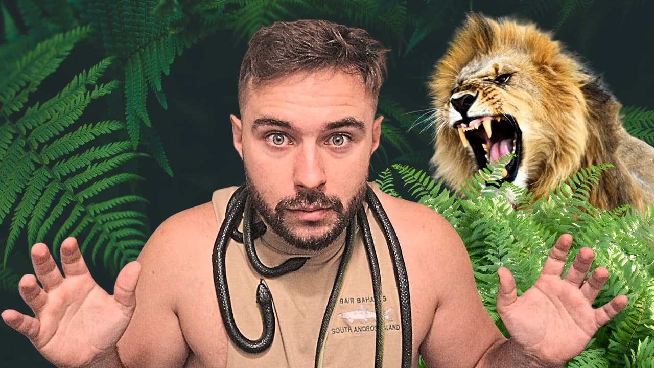 Languages Aren't Learned in the Classroom, They're Learned in the Jungle