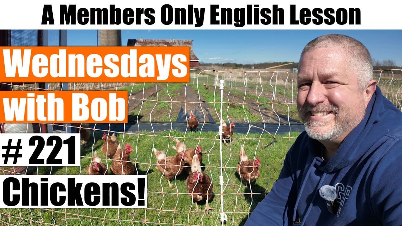 Wednesdays with Bob #221: Chickens!